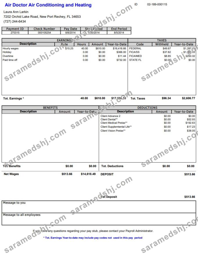 Air Doctor Paystub